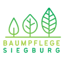 Baumpflege Siegburg